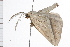  ( - MDOK-0551)  @12 [ ] CreativeCommons - Attribution (2009) Unspecified Centre for Biodiversity Genomics