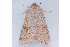  ( - MDOK-1017)  @12 [ ] Copyright (2010) Unspecified Unspecified