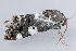  ( - MDOK-1020)  @12 [ ] Copyright (2010) Unspecified Unspecified