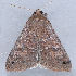  ( - MDOK-1091)  @12 [ ] Copyright (2010) Unspecified Unspecified