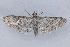  ( - MDOK-1092)  @13 [ ] Copyright (2010) Unspecified Unspecified