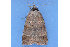  ( - MDOK-1520)  @13 [ ] Copyright (2010) Unspecified Unspecified