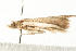  ( - MDOK-0874)  @12 [ ] CreativeCommons - Attribution (2009) Unspecified Centre for Biodiversity Genomics