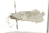 ( - MDOK-0879)  @14 [ ] CreativeCommons - Attribution (2009) Unspecified Centre for Biodiversity Genomics