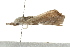  ( - MDOK-0934)  @12 [ ] CreativeCommons - Attribution (2009) Unspecified Centre for Biodiversity Genomics