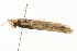  ( - MDOK-0939)  @12 [ ] CreativeCommons - Attribution (2009) Unspecified Centre for Biodiversity Genomics