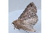  ( - MDOK-1130)  @12 [ ] Copyright (2010) Unspecified Unspecified