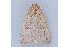  ( - MDOK-1150)  @13 [ ] CreativeCommons - Attribution (2009) Unspecified Centre for Biodiversity Genomics