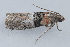  ( - MDOK-1159)  @14 [ ] Copyright (2010) Unspecified Unspecified