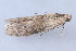  ( - MDOK-1161)  @12 [ ] Copyright (2010) Unspecified Unspecified