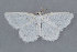  ( - MDOK-1184)  @13 [ ] Copyright (2010) Unspecified Unspecified
