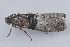  ( - MDOK-1191)  @12 [ ] Copyright (2010) Unspecified Unspecified
