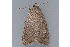  ( - MDOK-1201)  @12 [ ] Copyright (2010) Unspecified Unspecified