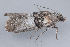  ( - MDOK-1209)  @12 [ ] Copyright (2010) Unspecified Unspecified