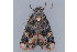  ( - MDOK-1214)  @13 [ ] Copyright (2010) Unspecified Unspecified