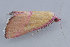  ( - MDOK-1236)  @12 [ ] Copyright (2010) Unspecified Unspecified
