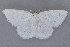  ( - MDOK-1704)  @14 [ ] CreativeCommons - Attribution (2009) Unspecified Centre for Biodiversity Genomics