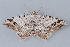  ( - MDOK-1334)  @13 [ ] Copyright (2010) Unspecified Unspecified