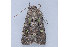  ( - MDOK-1344)  @14 [ ] Copyright (2010) Unspecified Unspecified