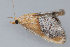  ( - MDOK-1753)  @12 [ ] CreativeCommons - Attribution (2009) Unspecified Centre for Biodiversity Genomics