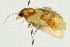  ( - MDOK-1379)  @12 [ ] CreativeCommons - Attribution (2009) Unspecified Centre for Biodiversity Genomics