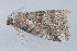  ( - MDOK-1390)  @12 [ ] Copyright (2010) Unspecified Unspecified