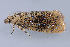  ( - MDOK-1400)  @12 [ ] Copyright (2010) Unspecified Unspecified