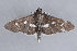  ( - MDOK-1430)  @13 [ ] Copyright (2010) Unspecified Unspecified
