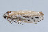  ( - MDOK-1442)  @12 [ ] Copyright (2010) Unspecified Unspecified