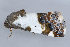  ( - MDOK-1472)  @13 [ ] Copyright (2010) Unspecified Unspecified