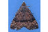  ( - MDOK-1518)  @12 [ ] Copyright (2010) Unspecified Unspecified