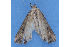  ( - MDOK-1526)  @12 [ ] Copyright (2010) Unspecified Unspecified