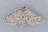  ( - MDOK-1825)  @13 [ ] Copyright (2010) Unspecified Unspecified