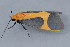  ( - MDOK-1840)  @12 [ ] Copyright (2010) Unspecified Unspecified