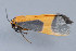  ( - MDOK-1841)  @12 [ ] Copyright (2010) Unspecified Unspecified