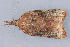  ( - MDOK-1856)  @12 [ ] Copyright (2010) Unspecified Unspecified