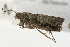  ( - MDOK-1873)  @12 [ ] Copyright (2010) Unspecified Unspecified