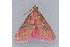  ( - MDOK-1883)  @11 [ ] Copyright (2010) Unspecified Unspecified