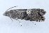  ( - MDOK-1892)  @12 [ ] Copyright (2010) Unspecified Unspecified