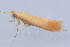  ( - MDOK-1910)  @12 [ ] Copyright (2010) Unspecified Unspecified