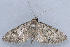  ( - MDOK-1913)  @13 [ ] Copyright (2010) Unspecified Unspecified