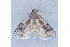  ( - MDOK-1916)  @13 [ ] Copyright (2010) Unspecified Unspecified