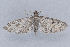  ( - MDOK-1938)  @13 [ ] Copyright (2010) Unspecified Unspecified