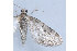  ( - MDOK-1952)  @12 [ ] Copyright (2010) Unspecified Unspecified
