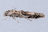  ( - MDOK-1976)  @13 [ ] Copyright (2010) Unspecified Unspecified