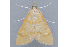  ( - MDOK-1986)  @12 [ ] Copyright (2010) Unspecified Unspecified