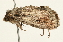  ( - MDOK-2059)  @12 [ ] CreativeCommons - Attribution (2009) Unspecified Centre for Biodiversity Genomics
