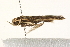 ( - MDOK-1538)  @12 [ ] CreativeCommons - Attribution (2009) Unspecified Centre for Biodiversity Genomics