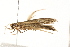  ( - MDOK-1548)  @12 [ ] CreativeCommons - Attribution (2009) Unspecified Centre for Biodiversity Genomics