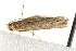  ( - MDOK-1554)  @12 [ ] CreativeCommons - Attribution (2009) Unspecified Centre for Biodiversity Genomics